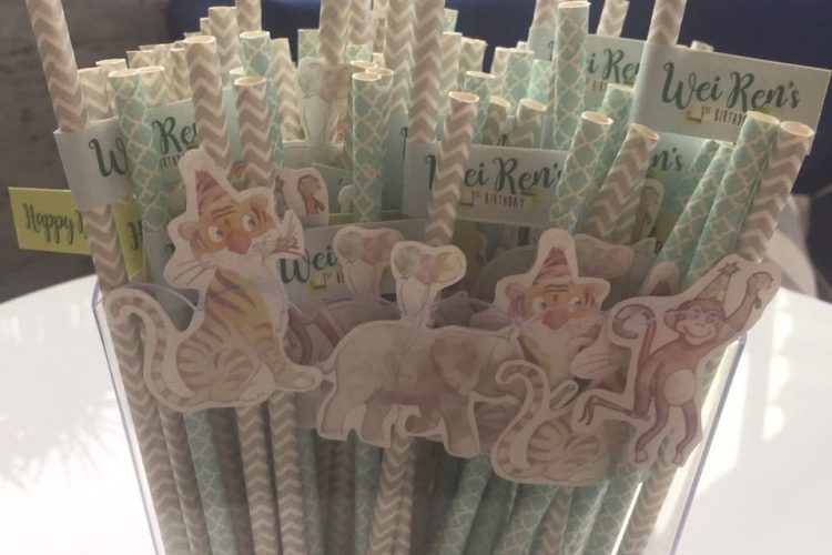 Safari Birthday Party 00001