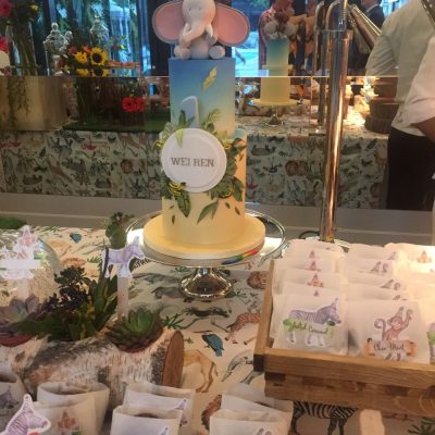 Safari Birthday Party 00003