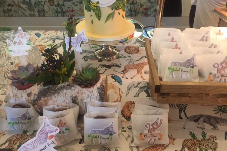 Safari Birthday Party 00006