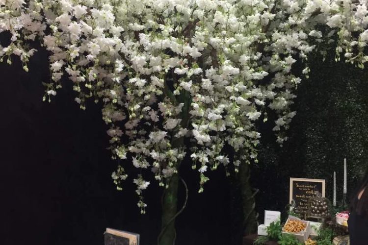 Westin KL at KLPJ Wedding Fair [Nov 2017] 00011