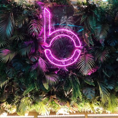 Babel Fit KLCC - Event Planning KL