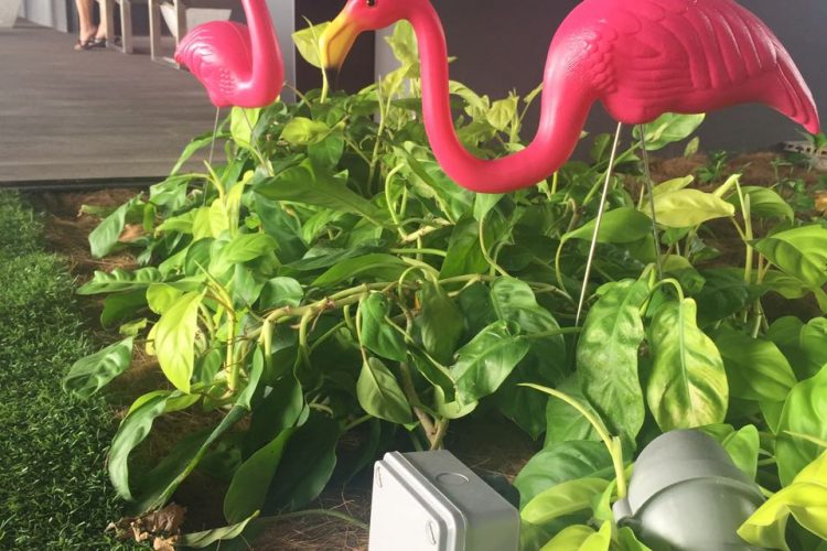 Fire In The Sky I (6)