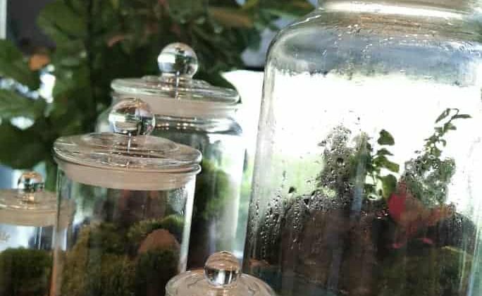 Gamuda Cove (2) Gamuda Cove (2)