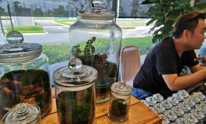 Gamuda Cove (8) Gamuda Cove (8)