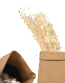 Dried Bleached Gypso Bunch