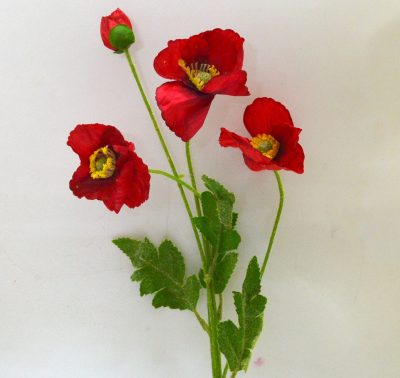 0341_Poppy Red